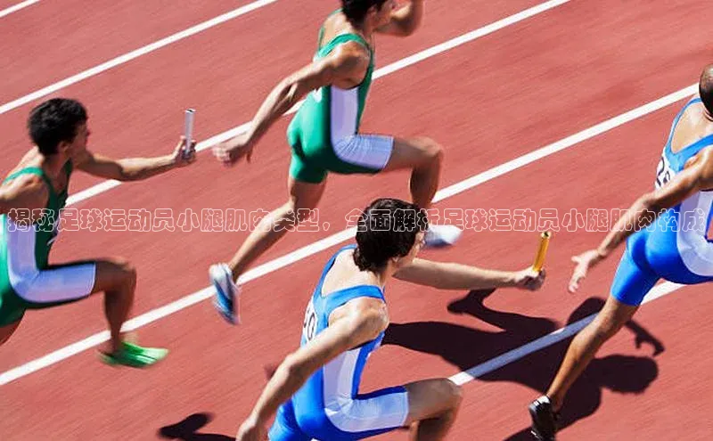 EMC易倍app官方下载携程揭秘足球运动员小腿肌肉类型，全面解析足球运动员小腿肌肉构成