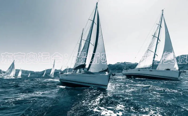 emc易倍·体育壹网壹创东京奥运会：最新赛事速览与突破