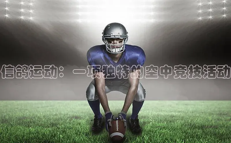 信鸽运动：一项独特的空中竞技活动